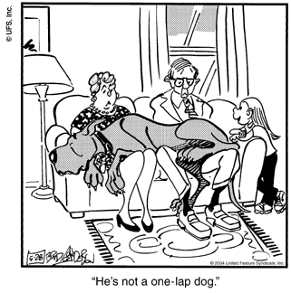 marmaduke